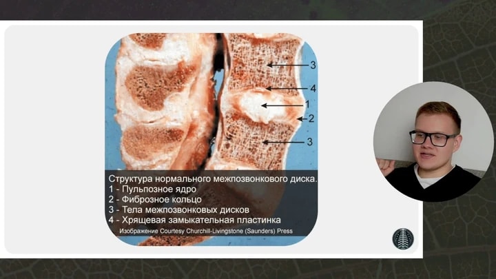 Примеры материалов из курса 6